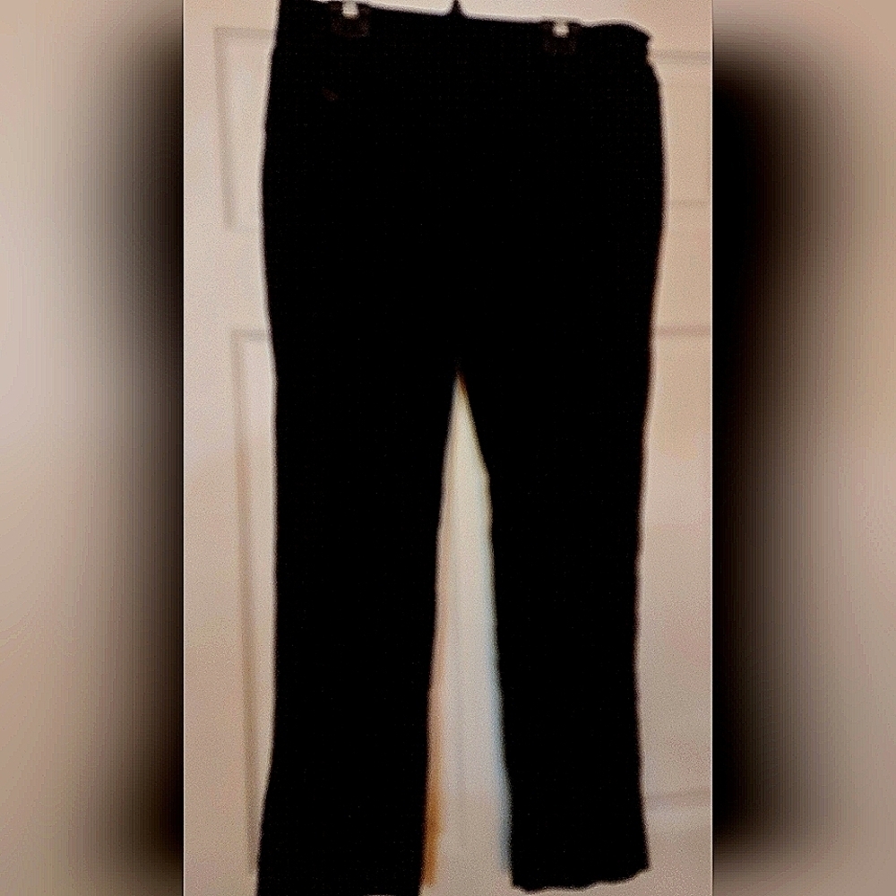 Lisette-L Women's  Ancle  Pants